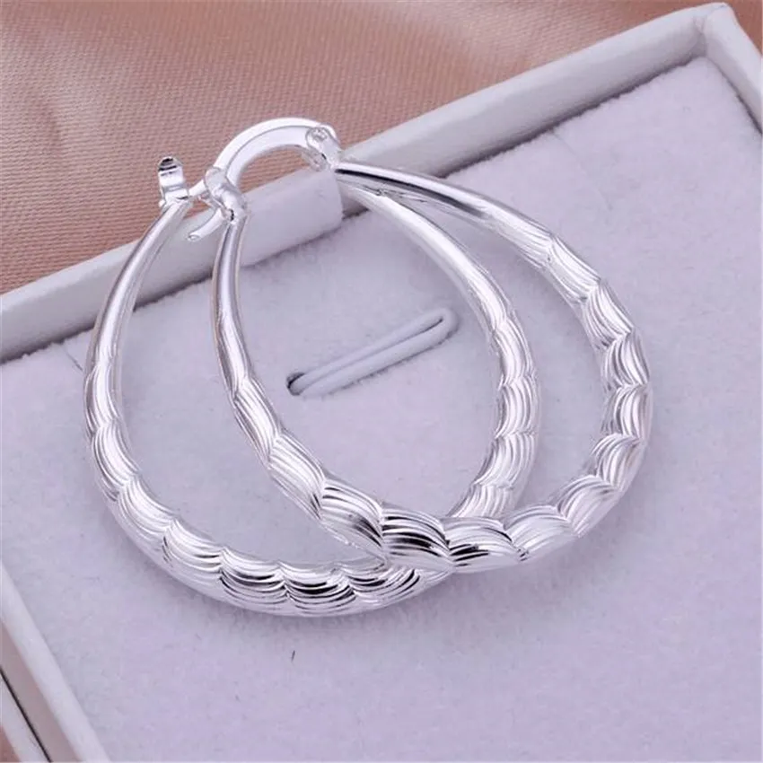 Sleek Silver Hoop Earrings